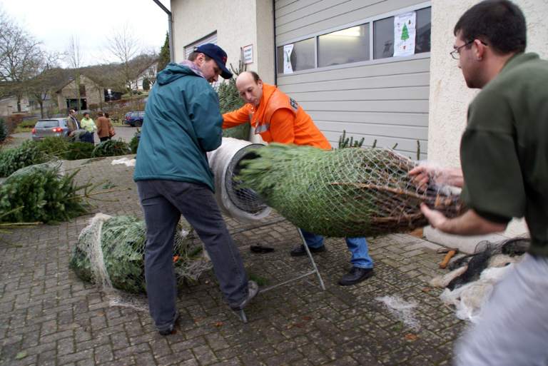 Weihnachtsbaumverkauf 2008 Bild Nr.021